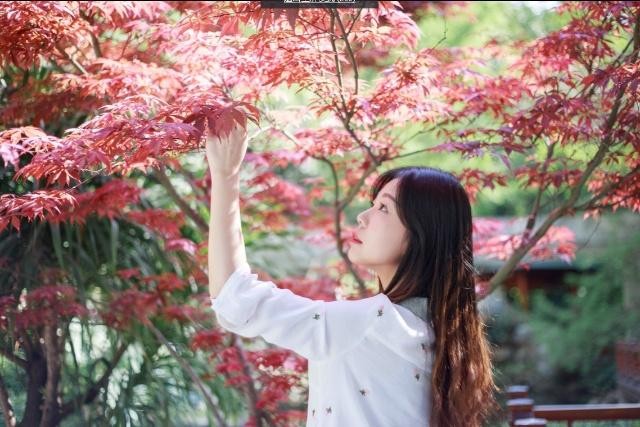 现代人的爱情始于微信也可死于微信